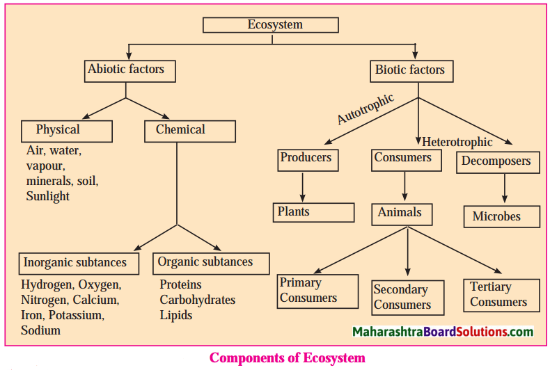 Diagram showing biotic and abiotic components of an ecosystem